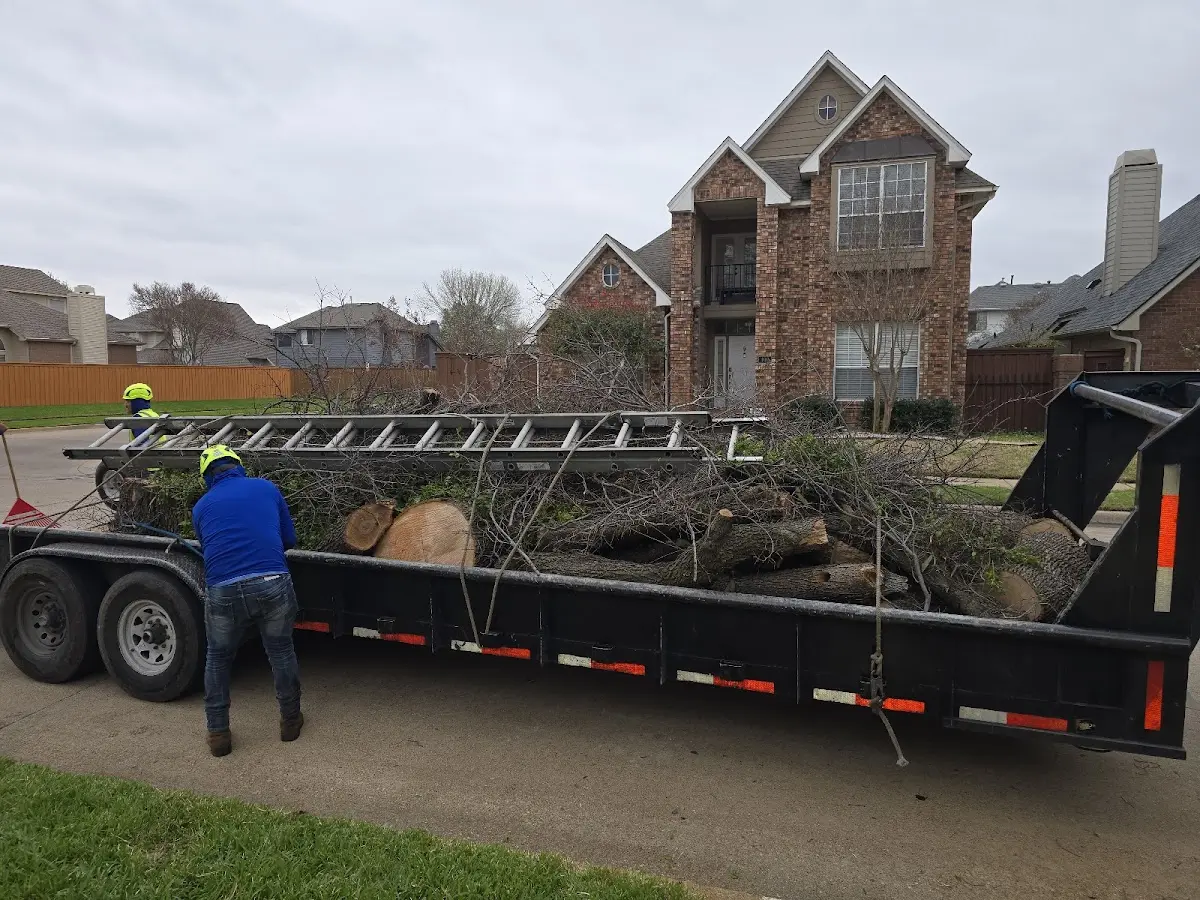 Expert Tree Removal with proper safety equipment in Eton